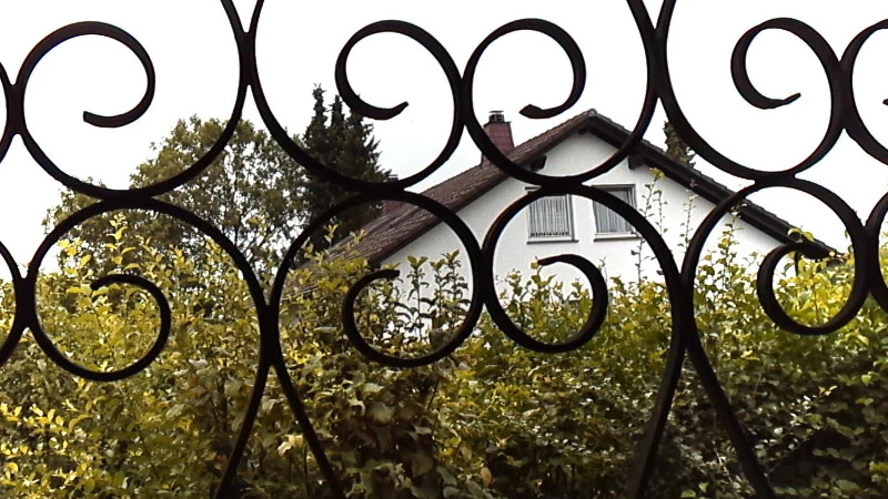 圖 18：影像來自沒有目鏡和攝像管的相機。手持相機拍攝，並將相機伸出窗外拍攝展示它的景深功能。距離鐵門約有1 公尺遠，但與房子距離則相差50公尺。