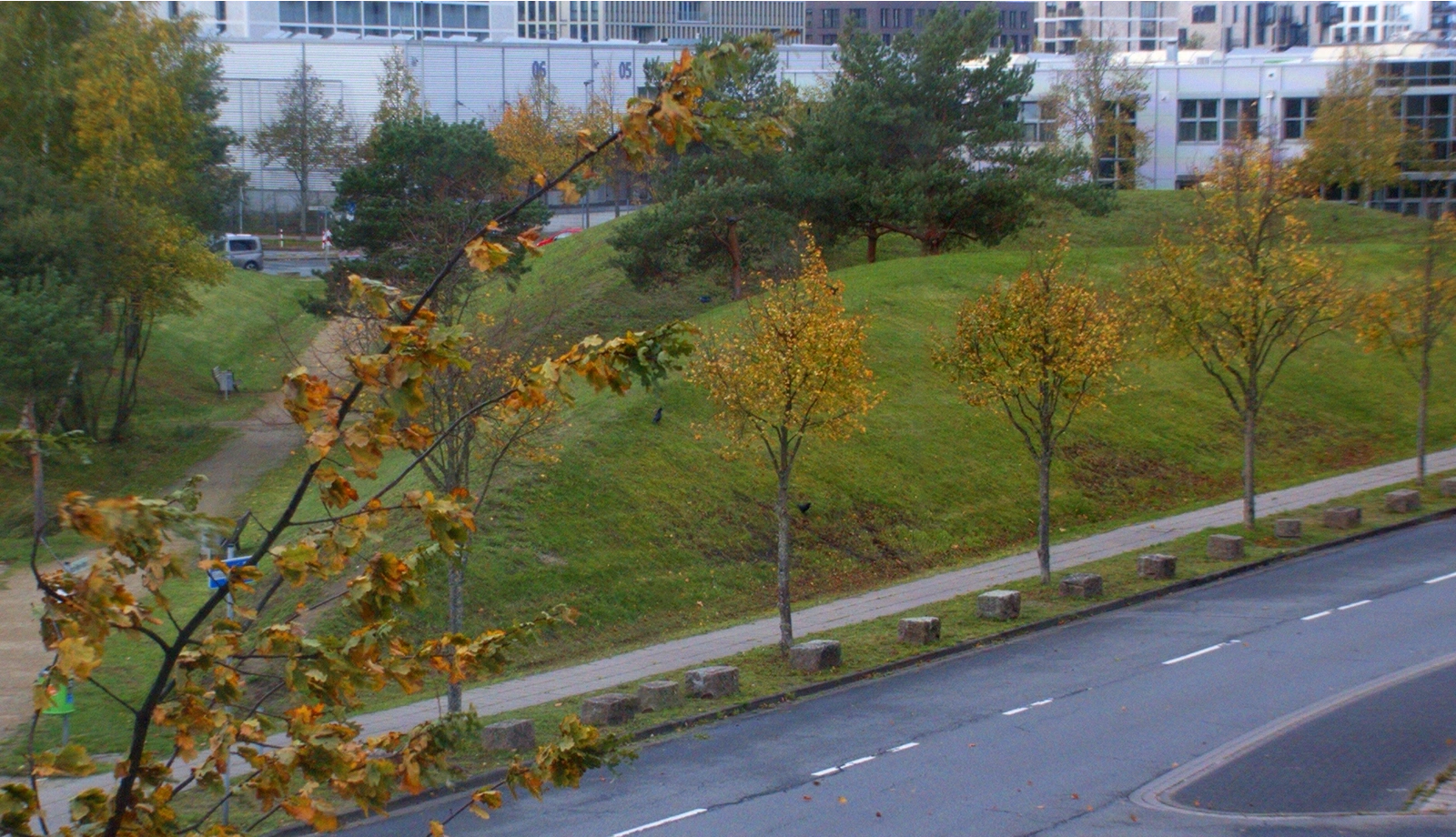 此圖為使用 IR-cut 濾光片並進行自動色彩校正後的參考影像。紅外線抑制與軟體校正共同確保自然的色彩表現。