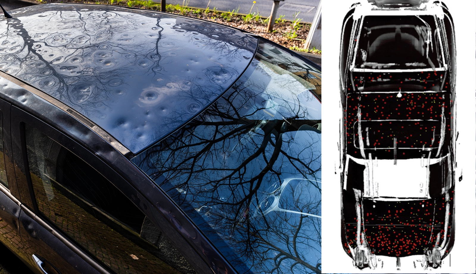 Hail Damage Visualization: BUHDA's computer vision system highlights damaged areas, offering precise, speedy, and documented assessments. Image, right: ©SSH/Steinacker
