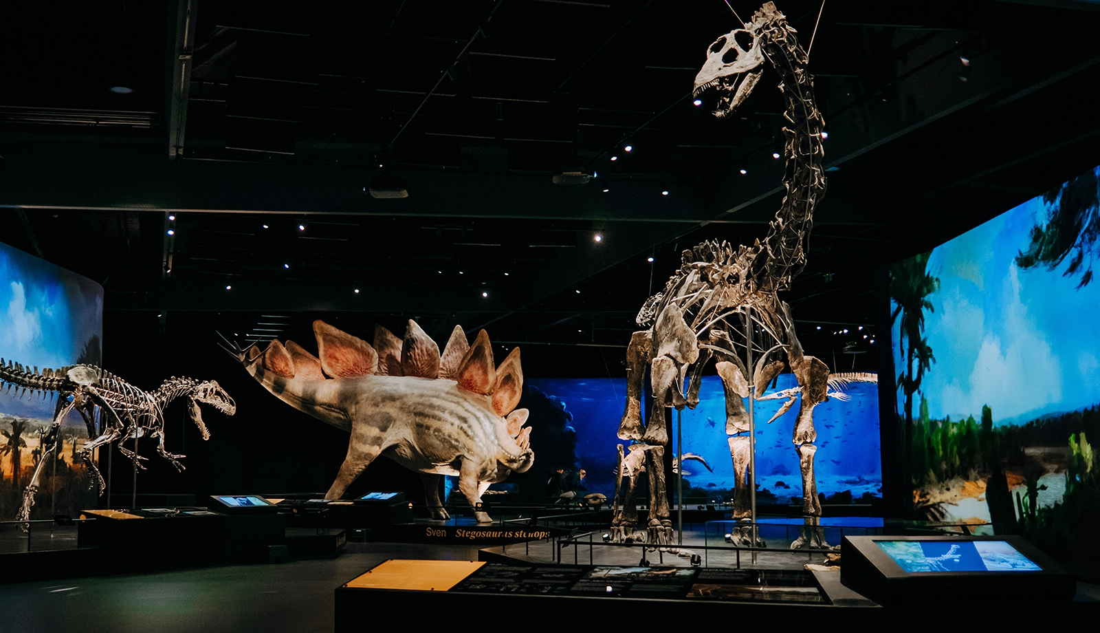 Interactive and immersive installations are supported by data from industrial cameras and visual programming.