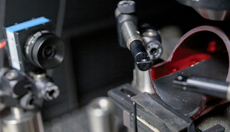 Currently, DeepLabCut supports a two-camera set up: Two DMK 37BUX287 cameras are used to capture high-speed videography whose frames are used for markerless 3D pose extraction. Image credit: Cassandra Klos